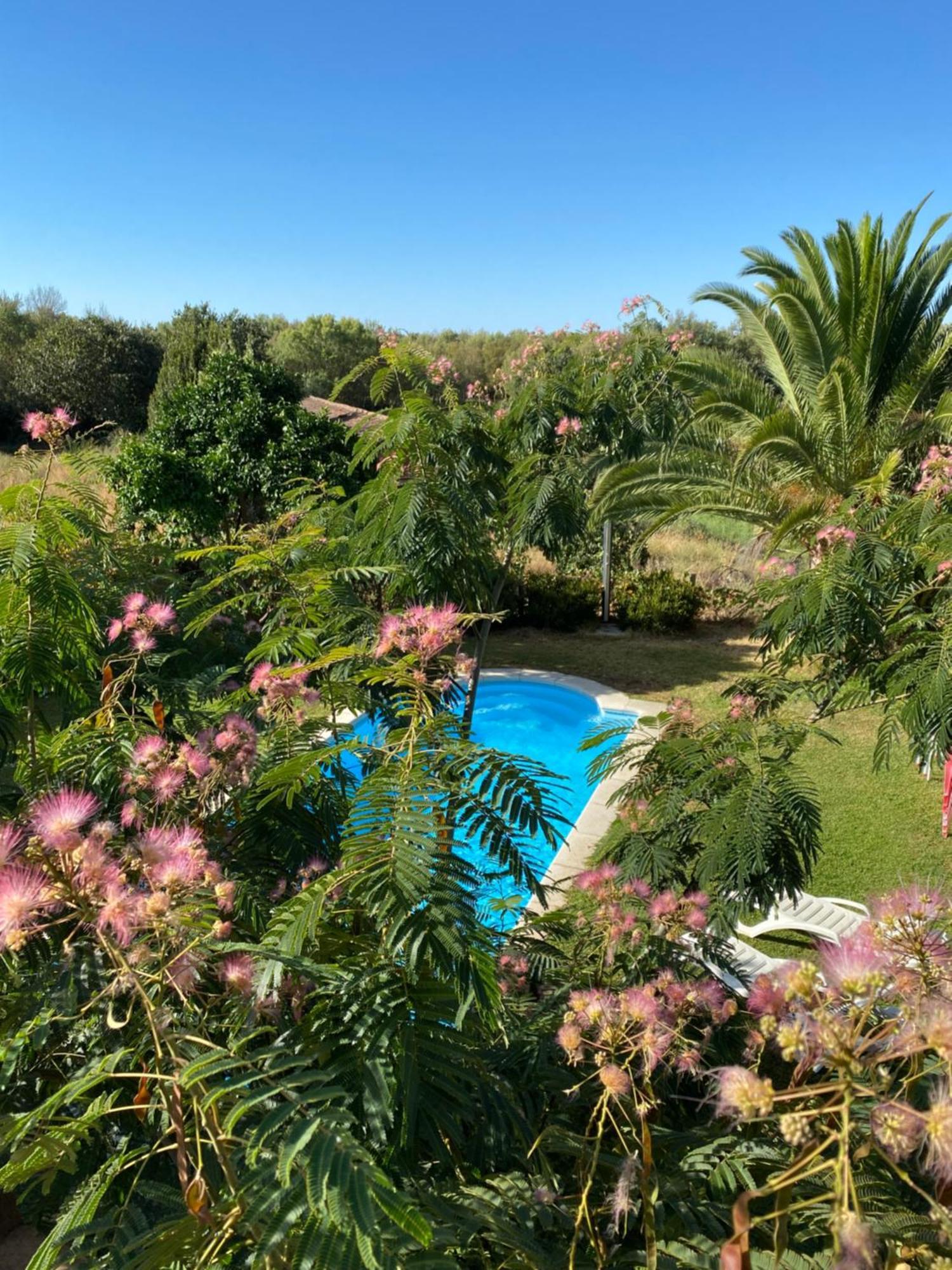 Higueras Y Olivos Villa Candeleda Eksteriør billede